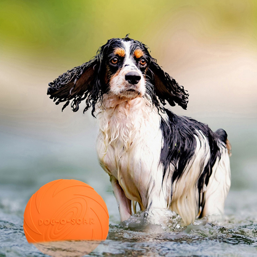 Großer Hundespielzeug-Frisbee  – Flying Disc Dog Training Toy Bewertung und Preis