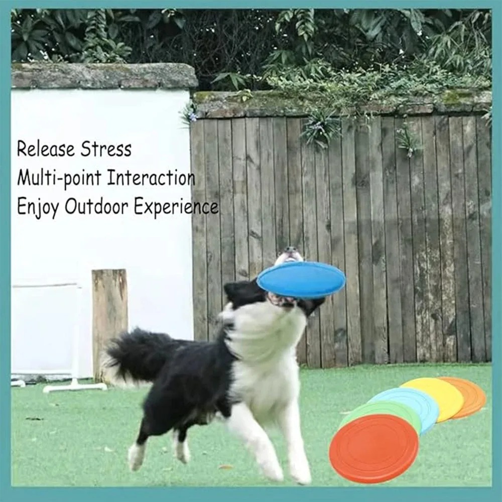 Silikon Fliegende Untertasse L – Flying Disc Dog Training Toy Bewertung und Preis