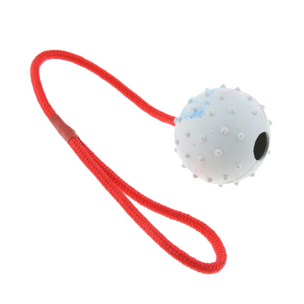 Haustier-Trainingsspielzeug We – Rubber Treat Dispensing Dog Toy Bewertung und Preis