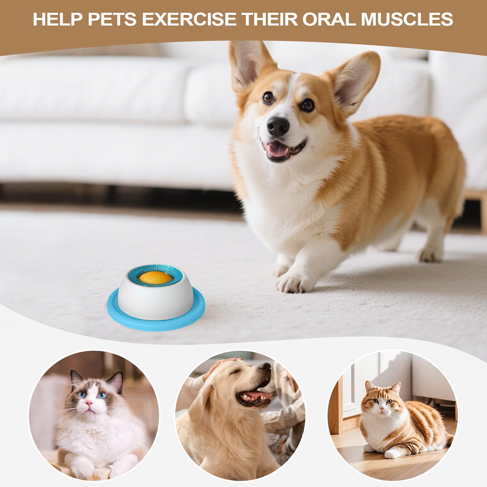 Haustier Fütterung Zubehör Hun – Dog Puzzle Feeder Toy Bewertung und Preis