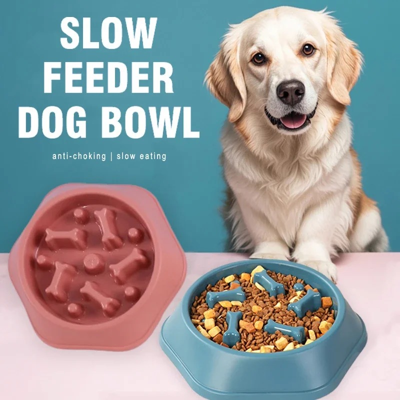 1 Stück Slow-Feeder Hundenapf  – Dog Puzzle Feeder Toy Bewertung und Preis
